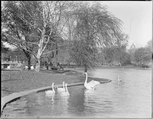 Public Garden