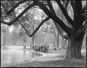 Boston Public Garden