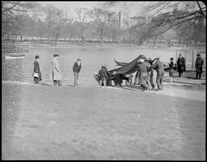 Public Garden swan boats