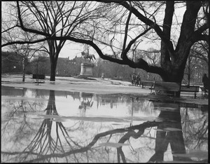 Public Garden, thawing out