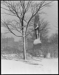 Public Garden Chas. Sumner's statue, winter