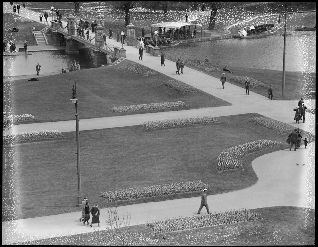 Tulip time - Public Garden, Boston, MA; Public Garden showing Washington statues and tulips in bloom