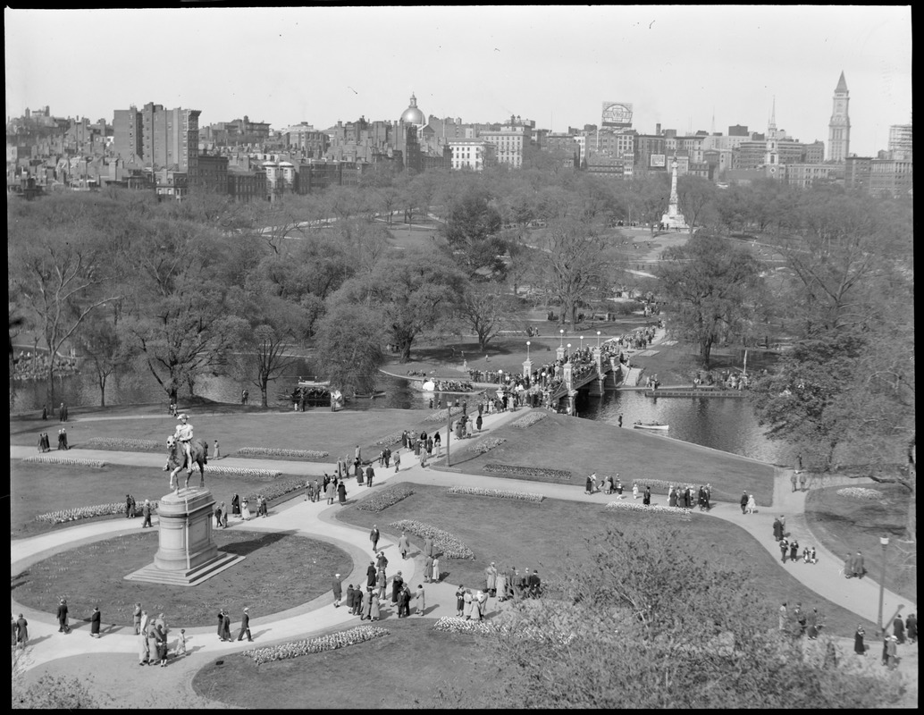 Public Garden tulip time from top of Engineer's Building, Arlington St. and Commonwealth Ave.