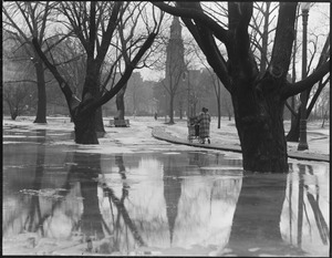 Public Garden in midst of thaw
