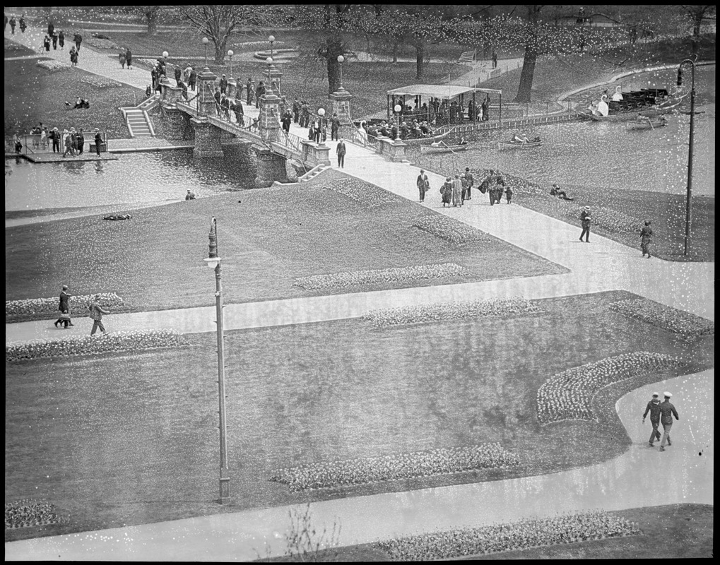 Boston Public Garden from elevation