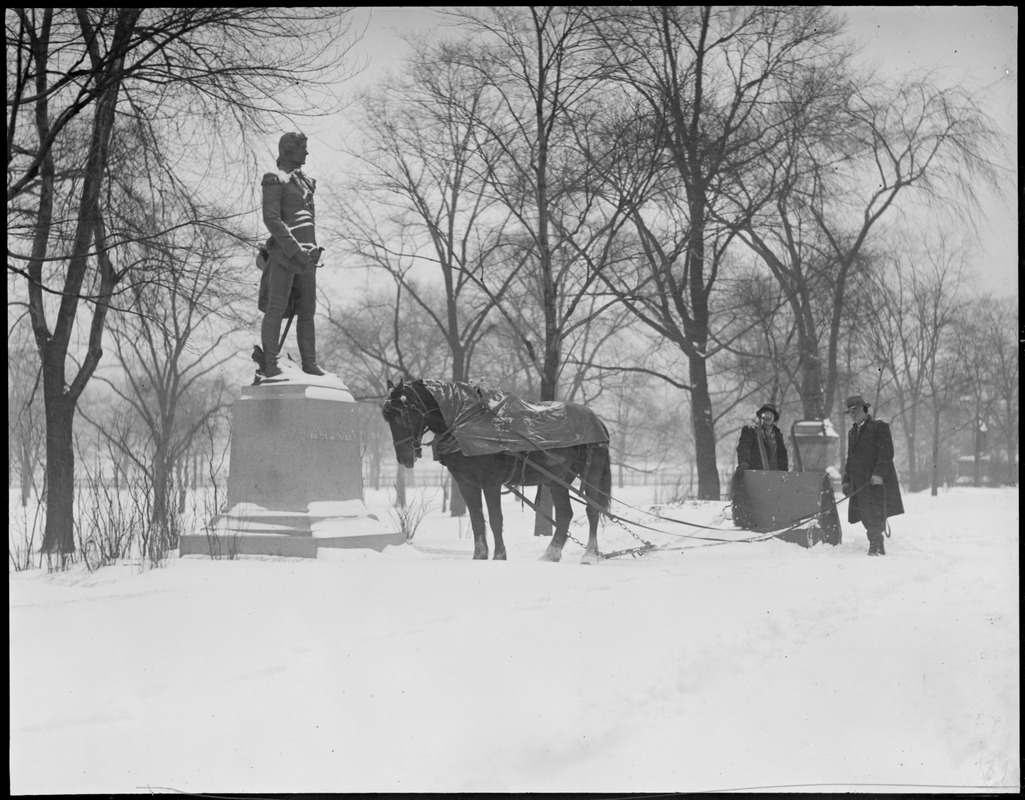 Public Garden - wintertime