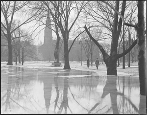 Public Garden - Boston