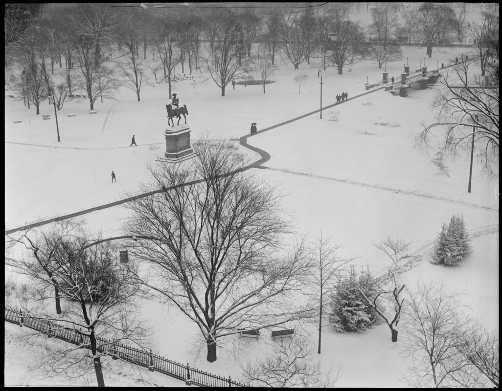 Boston Public Garden in winter & summer