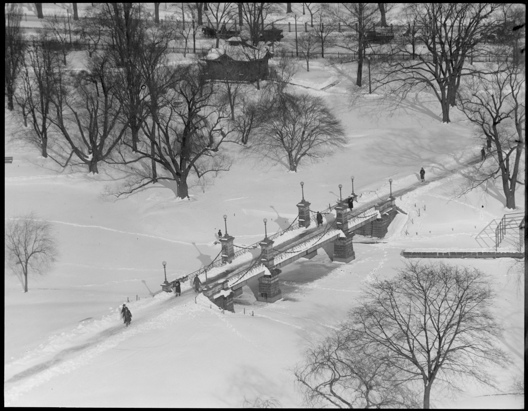 Public Garden from the Ritz-Carlton, winter