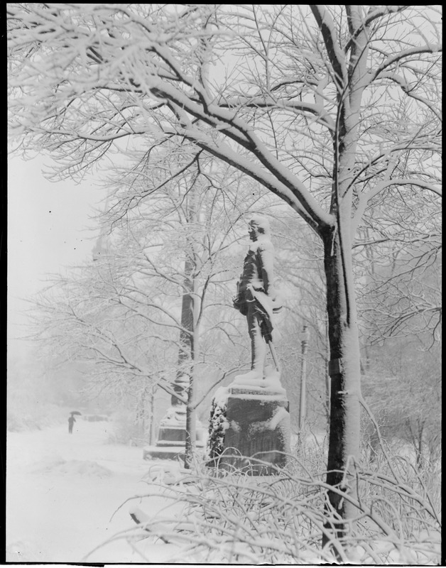 Thaddeus Kościuszko statue after snowstorm, Public Garden