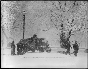 Public Garden in snow