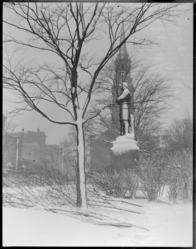 Public Garden Chas. Sumner's statue, winter