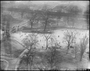 Public Garden in winter