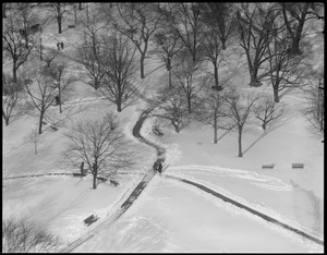 Public Garden from Ritz-Carlton, winter
