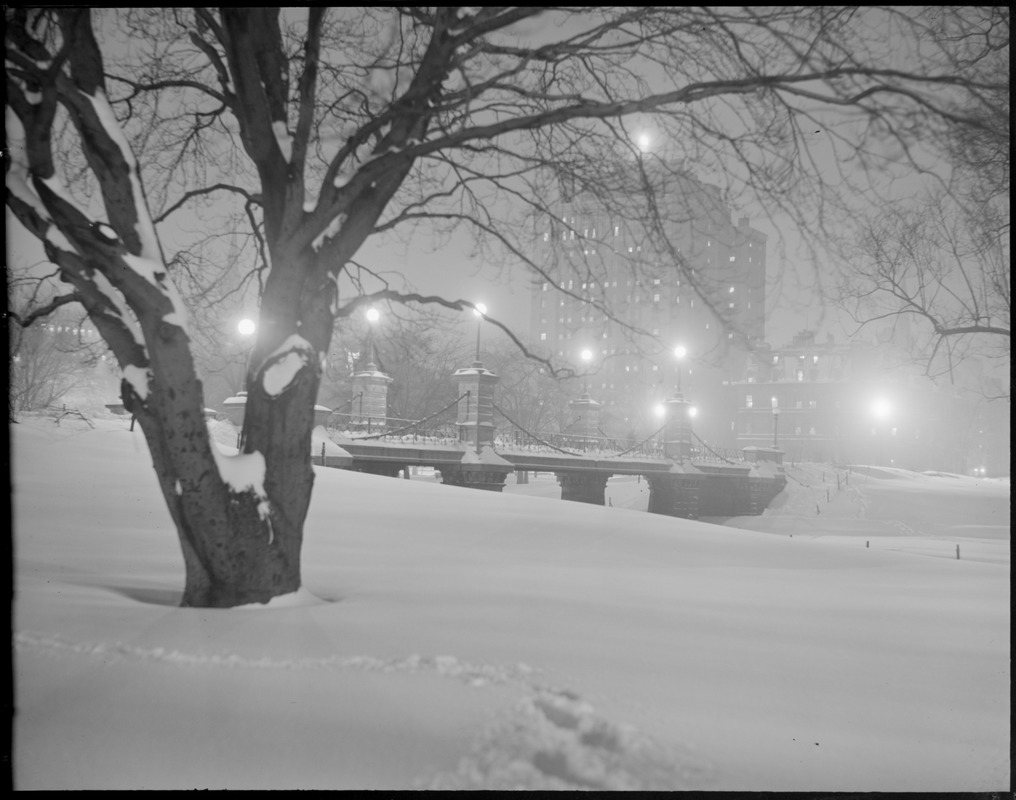 Public Garden at night, winter