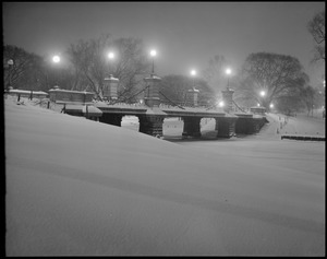Public Garden at night, winter
