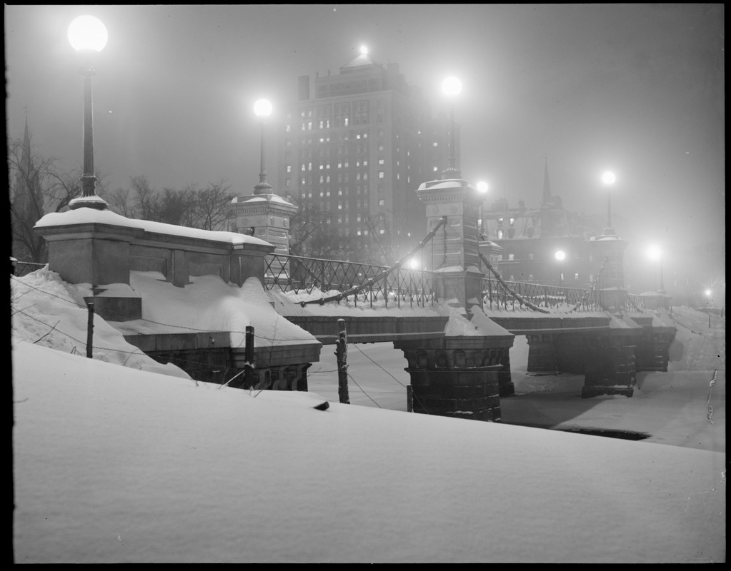 Public Garden at night, winter