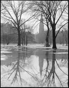 Public Garden thawing