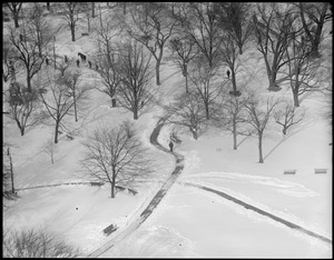 Public Garden wintertime from Ritz-Carlton Hotel