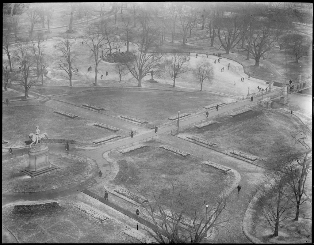 Public Garden, winter