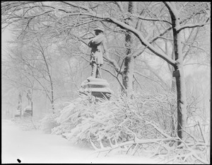 Cass statue, Public Garden, covered in snow