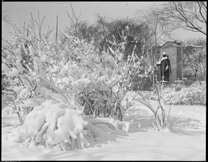 Wendell Phillips statue, Public Garden, in the snow