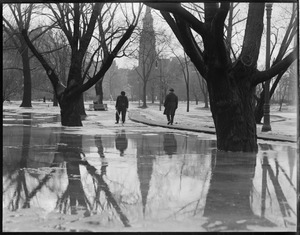Public Garden thawing
