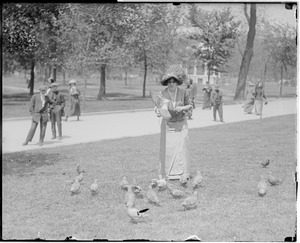 Woman feeds pigeon on Common
