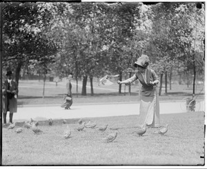 Woman feeds pigeon on Common