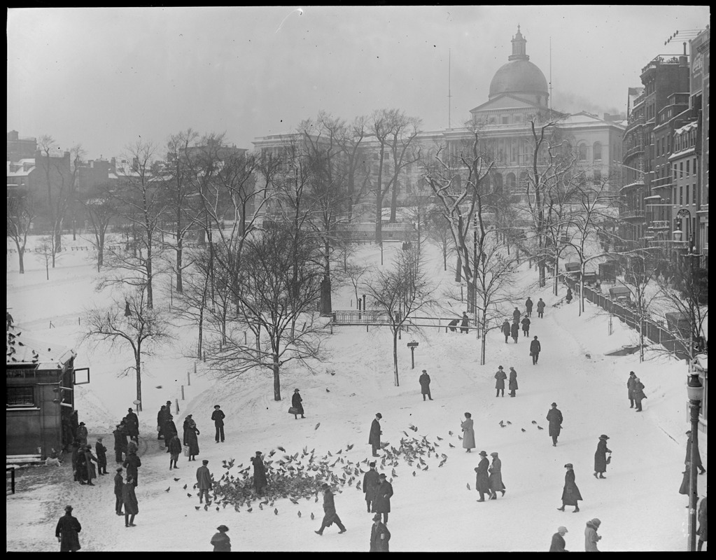 Boston Common and State House in winter