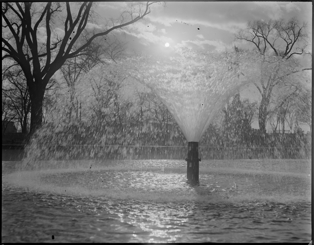 Sunset and fountain, Boston Common