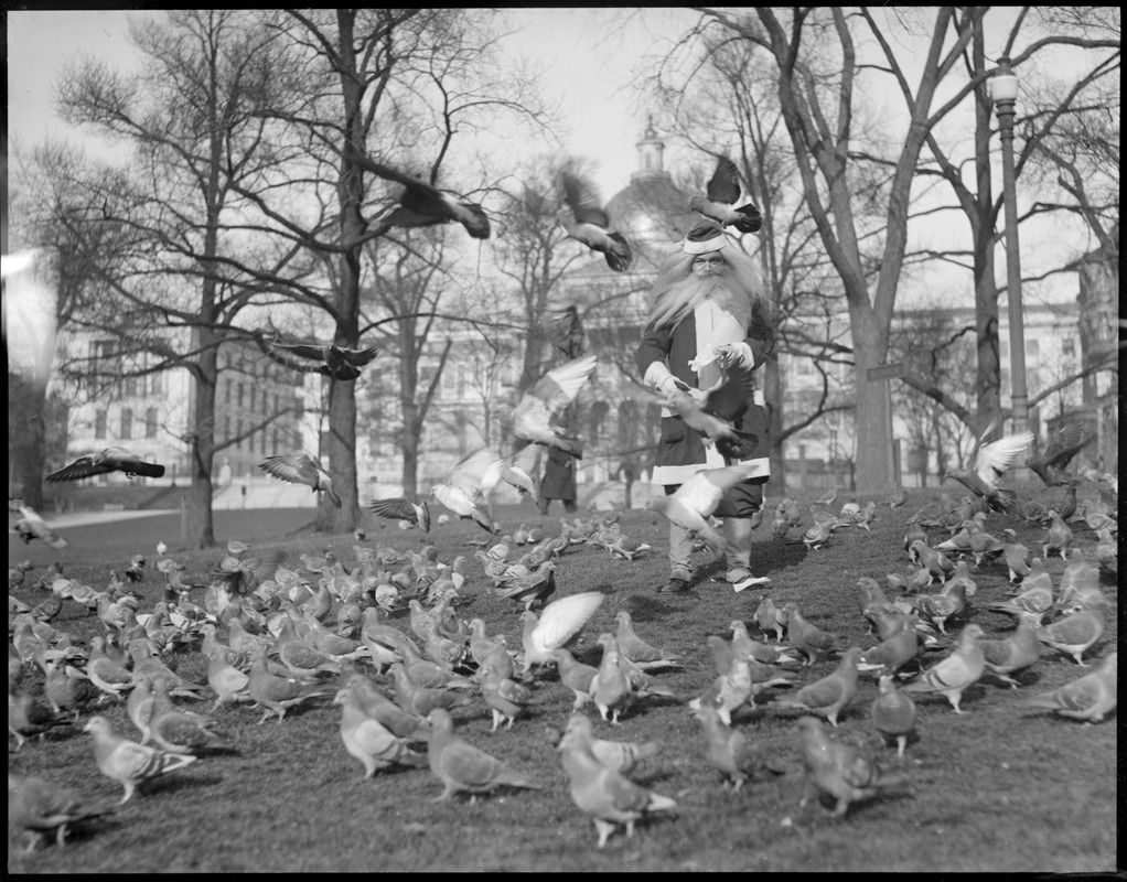 Santa feeds pigeons, Boston Common