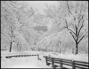 Boston Common snow scene