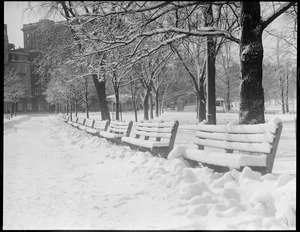 Boston Common "Snow scene, seats deserted, plenty of room for the women. You didn't see many men parking here, do you?"