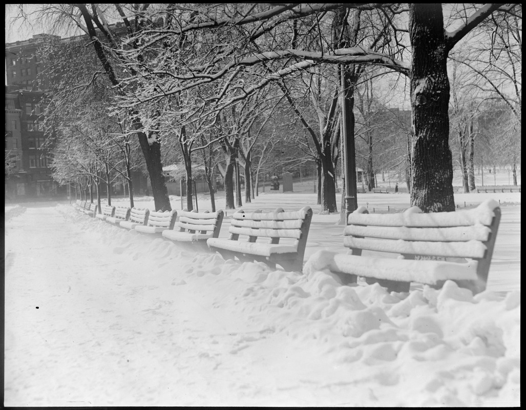 Snow scene: Boston Common