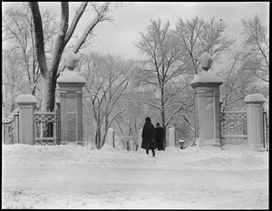 Guilds gate Boston Common after a snowstorm