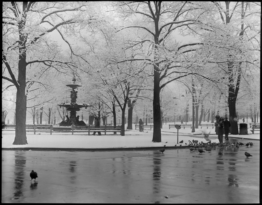 Boston Common after 1st snow fall