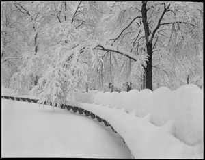 Snowstorm decorates the Boston Common