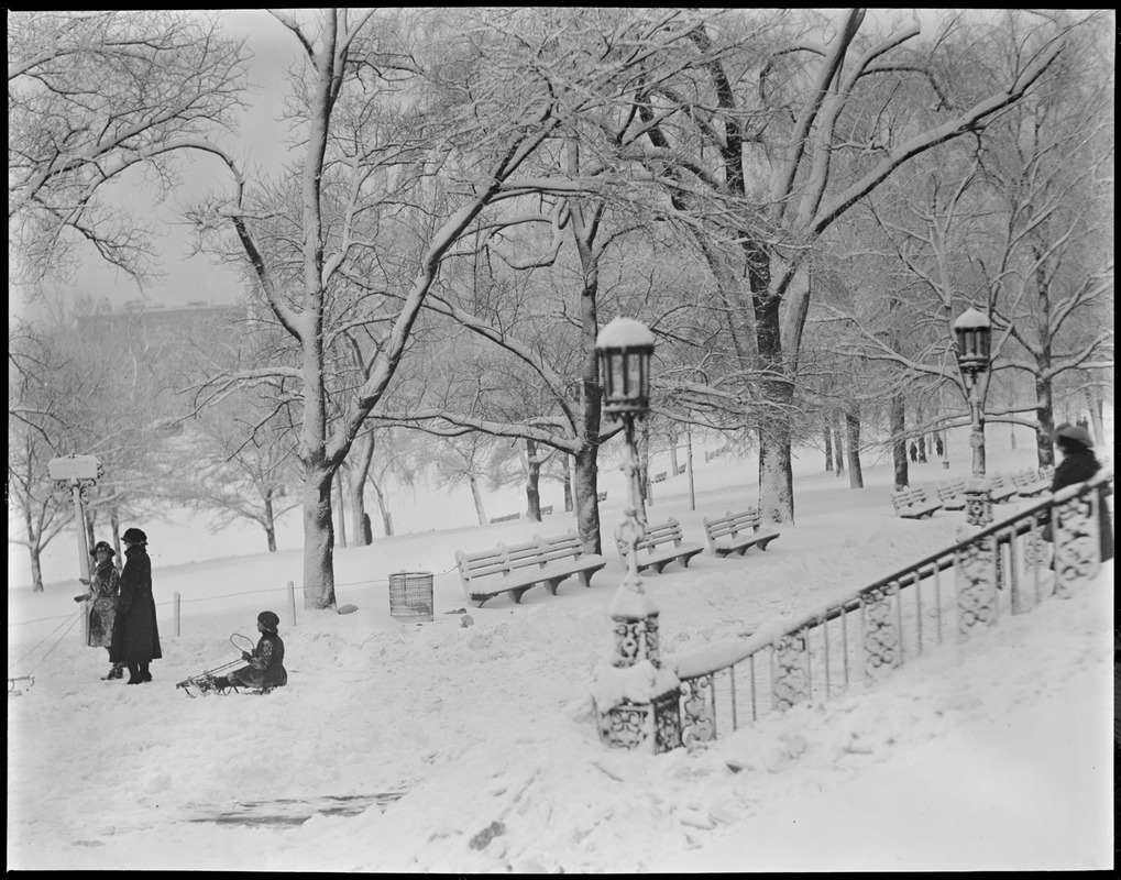 Boston Common in the snow