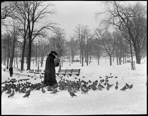 Lady feeding pigeons on Boston Common, in winter