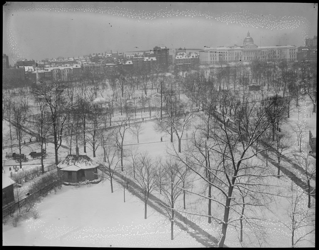 Boston Common in winter, from Boylston St.