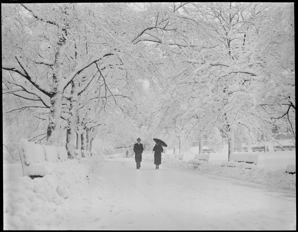 Tremont St. Mall, Boston Common, in winter