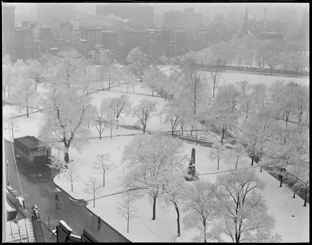 Boston Common after first snow fall, from Park St.