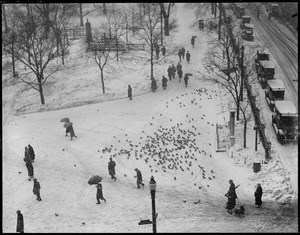 Boston Common, snowy corner at Tremont Park