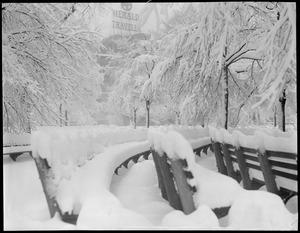 Snow covered benches on Boston Common