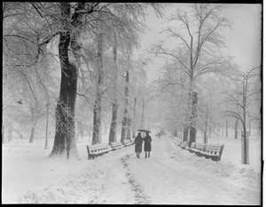 Winter scene on walkway, Boston Common