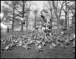Santa Claus feeding pigeons on Boston Common