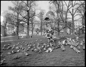 Santa feeds pigeons on Boston Common