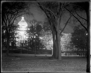 State House at night