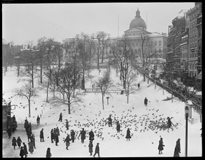 Feeding pigeons in winter, on Boston Common